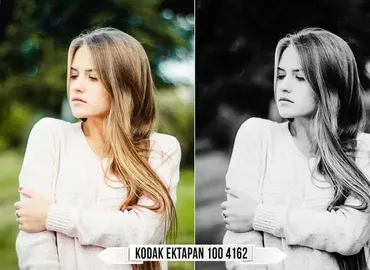 Eastman Kodak Black and White Film LUTs, 2021 (Raztrend)