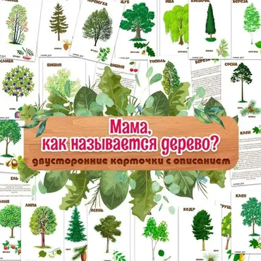[umeem_igrat] Карточки с описанием. Деревья (Алсу Хаметова)