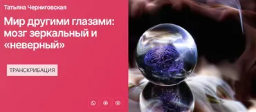Мир другими глазами: мозг зеркальный и «неверный». Транскрибация (Татьяна Черниговская)