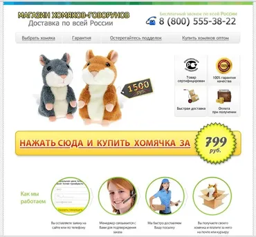 Продажи через одностраничные сайты, 2013 (Александр Залогин, Александр Дунаев)