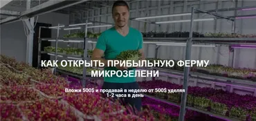 Как открыть прибыльную ферму микрозелени. Пакет Все сам (Иван Воробьев)