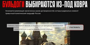 Бульдоги выбираются из под ковра (Валерий Соловей)