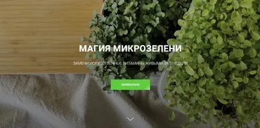 Магия микрозелени (Ольга Халина)