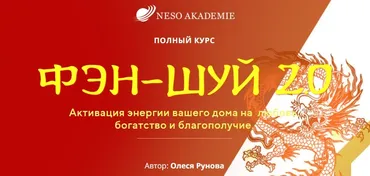 Фэн-Шуй 2019. Активация энергии вашего дома на  любовь, богатство и благополучие. П-С (Олеся Рунова)
