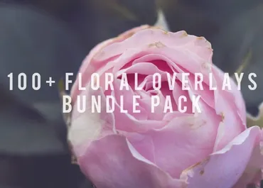 [Overlays] 100+ floral overlays bundle pack