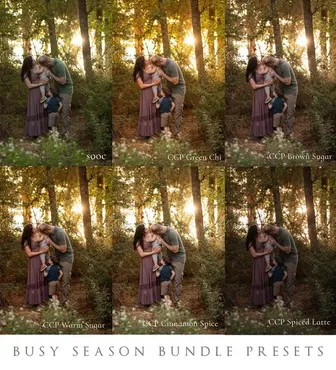 Солнечные пресеты. Busy Season Preset Bundle (Chubby Cheek)