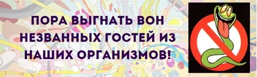 Зачистка (Алексей Маматов)