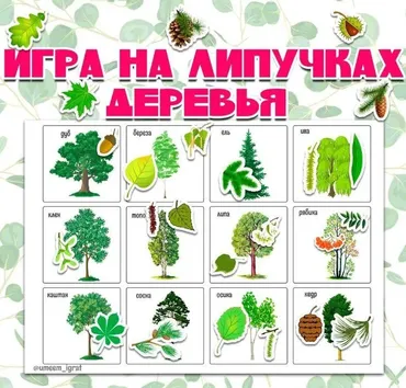 [umeem_igrat] Игра на липучках. Деревья (Алсу Хаметова)