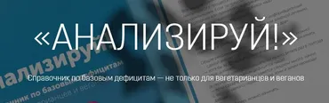 Анализируй (Настя Лисица)