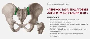 Перекос таза: Пошаговый алгоритм коррекции в 3D (Дмитрий Семёнов)