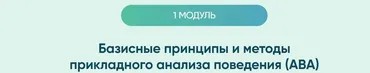 Курсы для специалистов. 1 модуль Базисные принципы и методы прикладного анализа поведения (АВА) (Юлия Эрц)