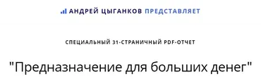 Предназначение для больших денег (Андрей Цыганков)