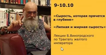 Сырость, которая прячется в глубине. Липкая и жирная сырость (Бронислав Виногродский)