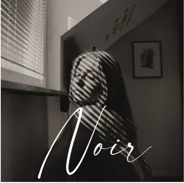 Набор пресетов «Noir B and W» (Kai Böttcher)