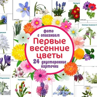 [umeem_igrat] Карточки с описанием. Первые весенние цветы (Алсу Хаметова)