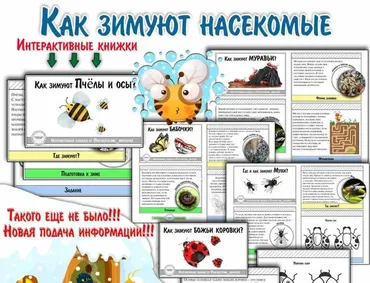 Как зимуют насекомые? Интерактивные книжки (Елена Солдатова)