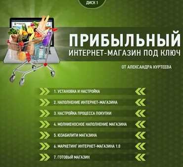 Прибыльный интернет-магазин под ключ (Александр Куртеев)