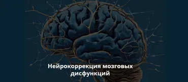 Нейрокоррекция мозговых дисфункций. Ноябрь 2024 (Салима Саиди)