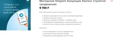 Мастерская Telegram: Концепция. Контент. Стратегия продвижения (Евгения Балтаг)