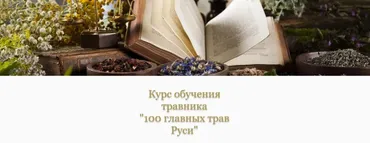 [Медвежий угол] 100 главных трав Руси (Елена Горчакова)