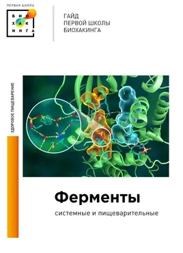 [Первая школа биохакинга] Ферменты. Методическое пособие (Ирина Баранова)