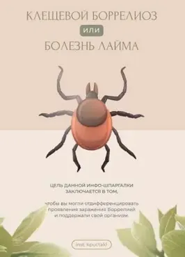 [kpuctakl] Клещевой боррелиоз или болезнь Лайма (Кристина Трофимова)