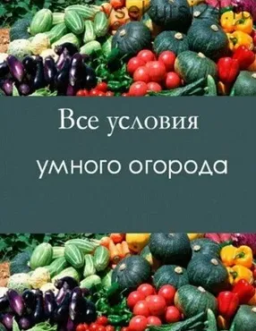 Все условия умного огорода (Николай Курдюмов)