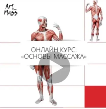 [Udemy]  Основы массажа с 0. Массаж для начинающих (Артем Цвилюк)