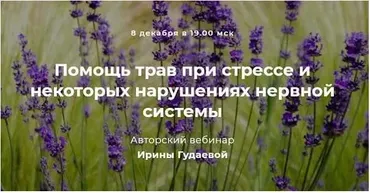 Помощь трав при стрессе и некоторых нарушениях нервной системы (Ирина Гудаева)