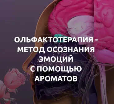 Ольфактотерапия-метод осознания эмоций с помощью ароматов. 1 ступень (Алла Позняк)