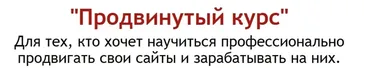 Продвинутый курс по созданию и монетизации сайтов 2015 (Михаил Гаврилов, Александр Козлов)