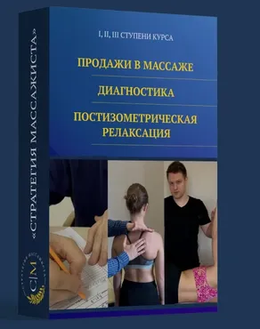 Стратегия массажиста. 1-3 Ступени (Владимир Кочетков)