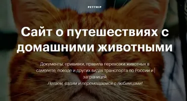 Гайд по путешествию с домашним животным (кошка, собака) (Татьяна Беспрозванных) @Tatiana_Besprozvannykh