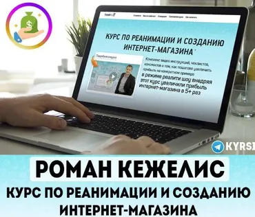 Reality show - Реанимация интернет-магазина, 2018-2019 (Роман Кежелис)