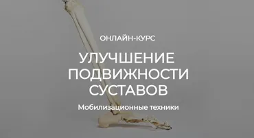 Улучшение подвижности суставов. Мобилизационные техники (Андрей Богатырев, Александр Семенов)