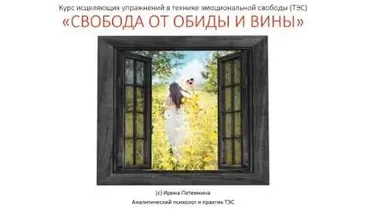 Свобода от обиды и вины. Истинное прощение (Ирина Потемкина)