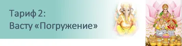 Васту. Полный курс от «А» до «Я». Тариф «Погружение» (Надежда Рахимова)