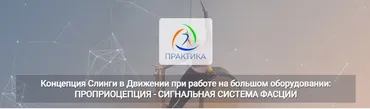 Концепция Слинги в Движении при работе на большом оборудовании: проприоцепция (Анна Селиверстова, Ася Хазиахметова)