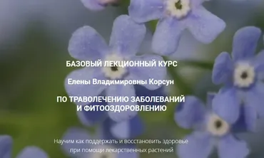 Скорая помощь травами летом (Елена Корсун)