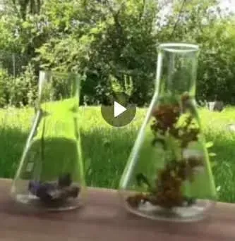 [Природная школа Усадьба Поповых] Экстракты (Анна Попова)