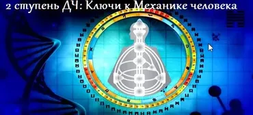 Ключи к механике человека - 2. Пакет Стандарт (Анна Ролева, Вероника Юрина)