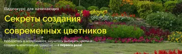 Секреты создания  современных цветников (Наталья Мягкова)