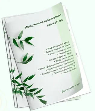[Академия молодости и красоты] Методичка по улучшению желчеоттока 2025 (Ольга Евдокимова)