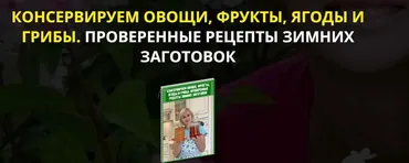 Консервируем овощи, фрукты, ягоды и грибы. Проверенные рецепты зимних заготовок (Екатерина Весна)