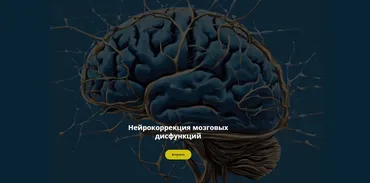 Нейрокоррекция мозговых дисфункций. Октябрь 2024 (Салима Саиди)