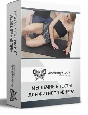 [anatomystudy] Мышечные тесты для фитнес тренера 2021 (Андрей Богатырев)