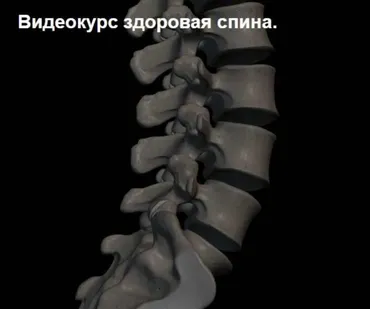Здоровая спина (Владимир Кравцов)