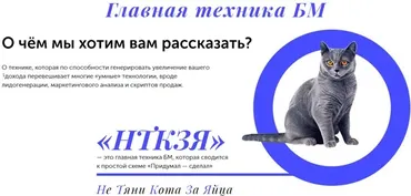 [Бизнес Молодость] Делай - Главная техника БМ - НТКЗЯ. Запись + транскрибация (Тимур Исякаев)