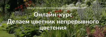 Делаем цветник непрерывного цветения. Тариф Слушатель (Наталья Мягкова)