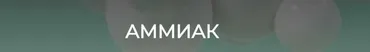 [humberto 2.0] Аммиак (Елена Иванова)